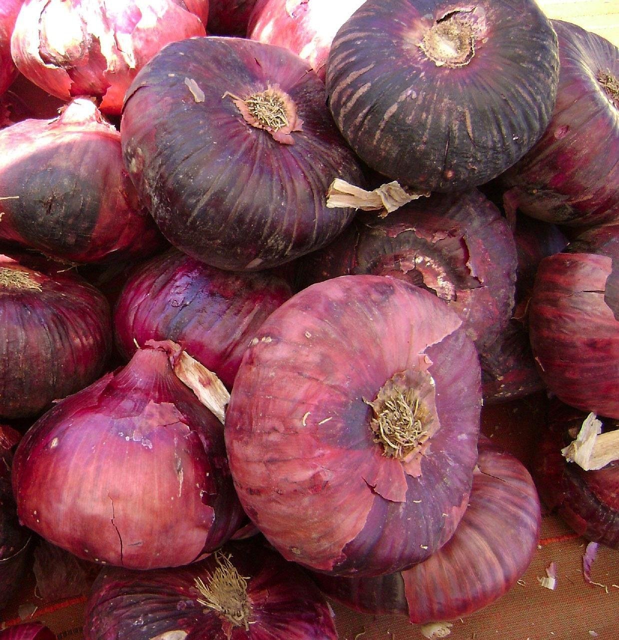 onions, red, vegetables, organic, fresh, onion, healthy, raw, ingredient, vegetarian, natural, ripe, wholesome, market, vitamin, groceries, salad, harvest, nutrition, produce