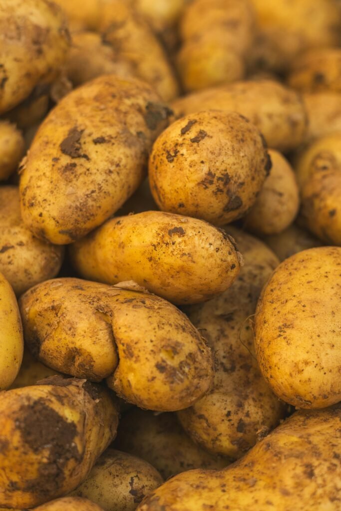 Close-up of stacked fresh organic potatoes with soil remnants, perfect for market displays.