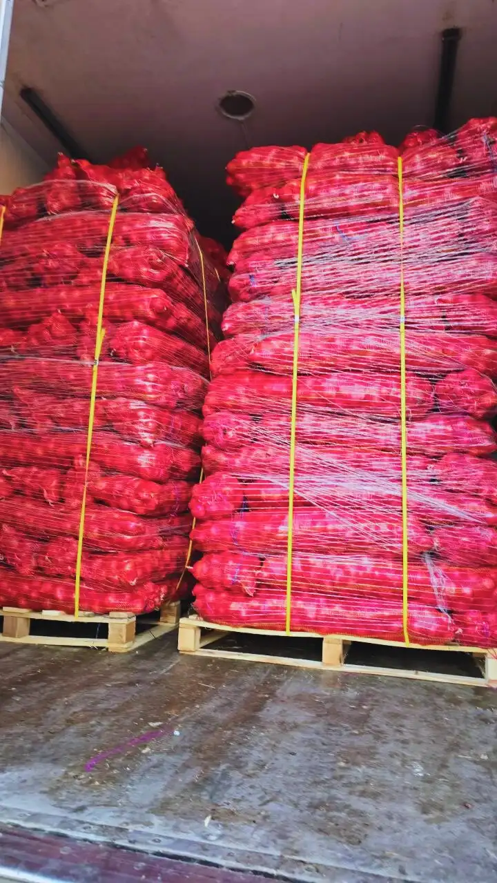 Fresh Egyptian red onions packed on pallets for export in ventilated mesh bags